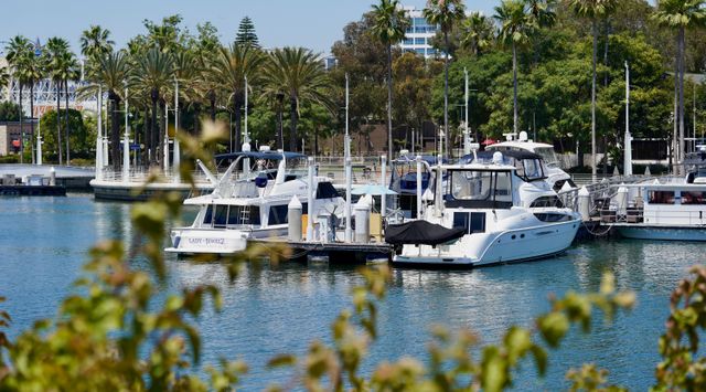 yachts in Humphreys Half Moon
