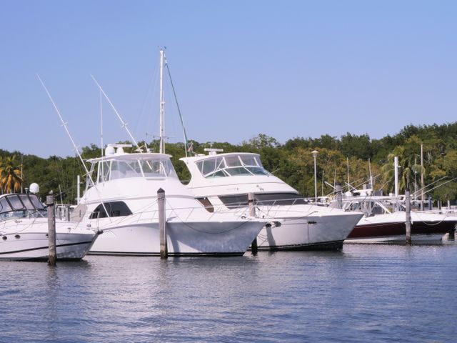 yachts in a marina in North Miami Beach