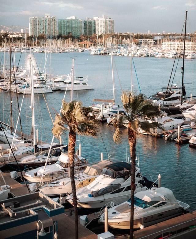 an overhead view of Marina del Rey with yachts and palm trees